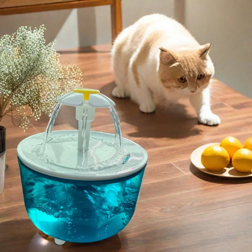 Cat walking up to the Snootzoo recirculating water fountain