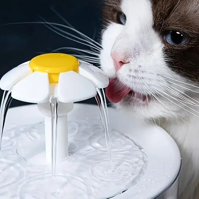 Cat drinking from the flower-shaped spout of the Snootzoo fountain