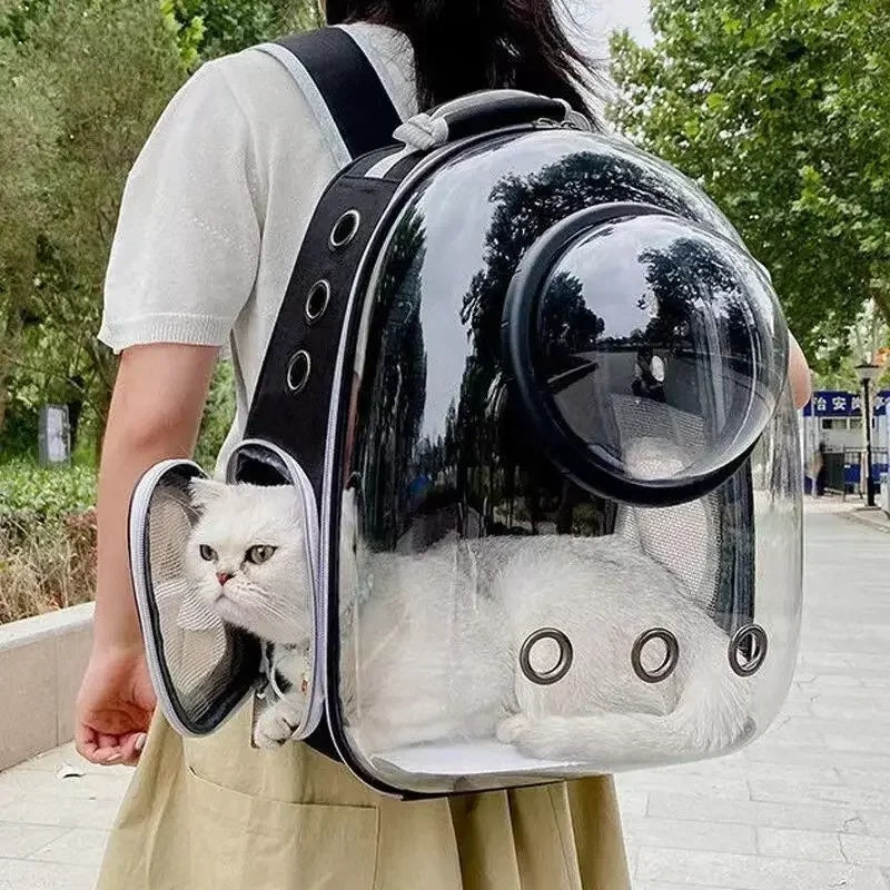 Snootzoo clear bubble cat carrier backpack