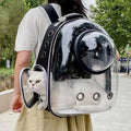 Snootzoo clear bubble cat carrier backpack