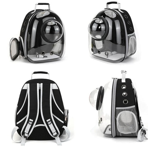 Snootzoo clear bubble cat carrier backpack